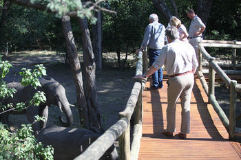 Nambwa Tented Lodge Kongola Extérieur photo